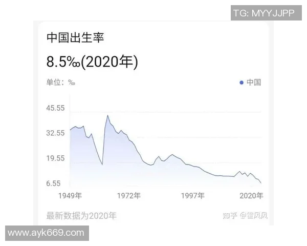 深圳网球队实力飙升再创佳绩引发全国关注与期待